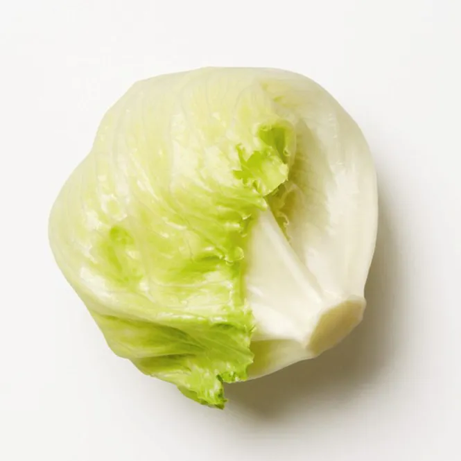 Hovedbilde Isbergsalat